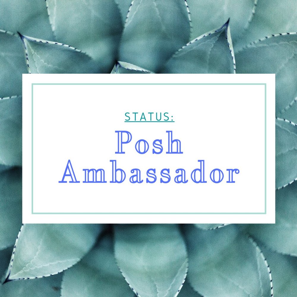 🎉POSH AMBASSADOR 🎉